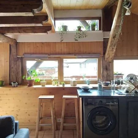 Duplex 70m2,type Savoyard 아파트