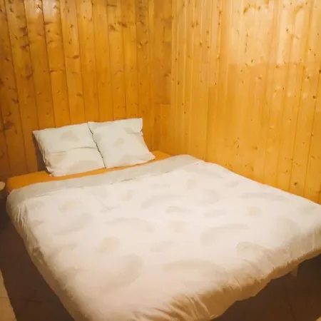 Duplex 70m2,type Savoyard *