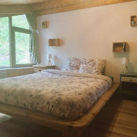 Duplex 70m2,type Savoyard 아파트 부르생모리스